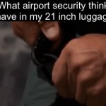 Voting ends April 25th | What airport security think I have in my 21 inch luggage: | image tagged in gifs,funny,memes,relatable,funny memes | made w/ Imgflip video-to-gif maker