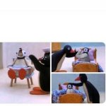 Penguin feeding mama