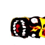 dead bart