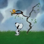 water-spring GIF Template