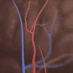 Stroke GIF Template