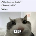 Cat looks inside | "Wireless controller"; *Looks inside*; Wires; XbOX | image tagged in cat looks inside | made w/ Imgflip meme maker