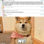Wut dog | Wut | image tagged in wut dog | made w/ Imgflip meme maker