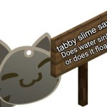 Tabby Slime Says | Does water sink or does it float? | image tagged in tabby slime says | made w/ Imgflip meme maker