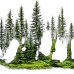 I love nature charlie