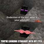 OH NOOOOOOOOOOOOOOOOOOOOOOOOOOOOOOOOO | YOU'RE LOOKING STRAIGHT INTO MY EYES. | image tagged in enderman of the soil | made w/ Imgflip meme maker