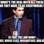 Jerry Seinfeld  | What's the deal with all these flies? Do they have to be everywhere we go? Is that the law now?
Fruit flies, house flies, mosquitoes, and ants, too | image tagged in jerry seinfeld | made w/ Imgflip meme maker