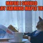 When the maple seeds drop | Maybe I should start farming maple trees | image tagged in memes,i should buy a boat cat,spring,trees,seeds,farming | made w/ Imgflip meme maker