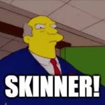 SKINNER simpsons