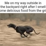 The good food smell in the air | Me on my way outside in the backyard right after I smell some delicious food from the grill: | image tagged in gifs,grill,memes,blank white template,backyard,food | made w/ Imgflip video-to-gif maker
