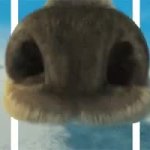 Ice Age Squirrel GIF Template