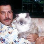 Freddie Mercury holding Cat