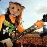 kirk hamster
