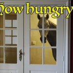 .__. | How hungry? | image tagged in ominous horse | made w/ Imgflip meme maker