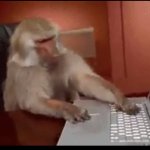 Monkey computer