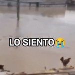 los siento wilson template