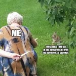 does it trigger you too? | me:; those flies that get in the house when i open the door for 3.5 seconds | image tagged in grandma hiding knife rabbit | made w/ Imgflip meme maker