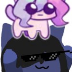 Cat Sashley on Kuraudo | image tagged in kuraudo,memes,cat sashley,cats,cute | made w/ Imgflip meme maker