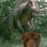 Spino and Dog