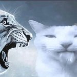 Lion vs Cat ragebait