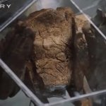 Whatever Rocky GIF Template