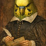shakespear birb