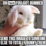 OH Heck YOU GOT BUNNED