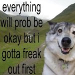 everything will prob be okay but i gotta freak out first