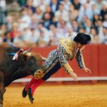 Bull wins fight