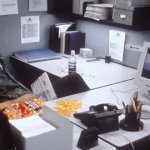 Back to Work