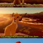 yeah im not gowing there.... | Everything the light touches is imgflip... but whats that shadowy place over there.... Thats MS_memer_group.... | image tagged in lion king shadowy place,imgflip,meanwhile on imgflip,the dark side | made w/ Imgflip meme maker