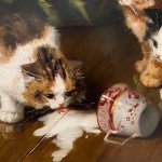 Spilled milk with cats