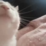 IREADY SUCKS | IREADY IS BEING SUED! | image tagged in gifs,happy,slay | made w/ Imgflip video-to-gif maker