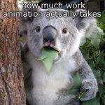 Surprised Koala | Me after realizing how much work animation actually takes | image tagged in memes,surprised koala | made w/ Imgflip meme maker