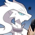 Reshiram looking at phone