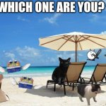 Beach | Which one are you? | image tagged in beach | made w/ Imgflip meme maker