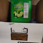 Lime in the Coconut template