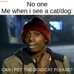 I have ADHD Gng | No one
Me when i see a cat/dog:; Can i pet the dog/cat please? | image tagged in memes,pets,funny,relatable,adhd,animals | made w/ Imgflip meme maker
