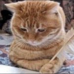 mad cat