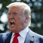 Ugly Trump Mouth