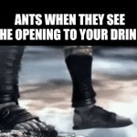 cleaver title | ants when they see the opening to your drink: | image tagged in gifs,relatable | made w/ Imgflip video-to-gif maker