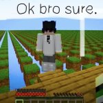 Ok bro sure