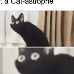 OHNO | POV my dad says : a Cat-astrophe; OHNO | image tagged in oh no black cat | made w/ Imgflip meme maker