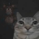 Freddy behind cat