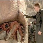 Afraidbug