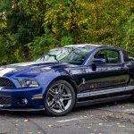 2010 Ford Mustang Shelby GT500 meme