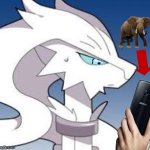 reshiram elephant in the room