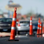 Nevada State Flower