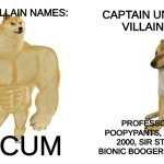 dog man villain names are way better | dog Man villain names:; captain underpants villain names:; professor pippy p poopypants, turbo toilet 2000, sir stinks a lot, bionic booger boy, Dr nappy, Dr.Scum | image tagged in strong doge weak doge,captain underpants,memes | made w/ Imgflip meme maker
