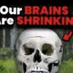 Brain shrinking